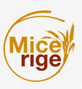 micerige